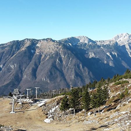 Chalet Zlatica Velika Planina Стаховиця Екстер'єр фото