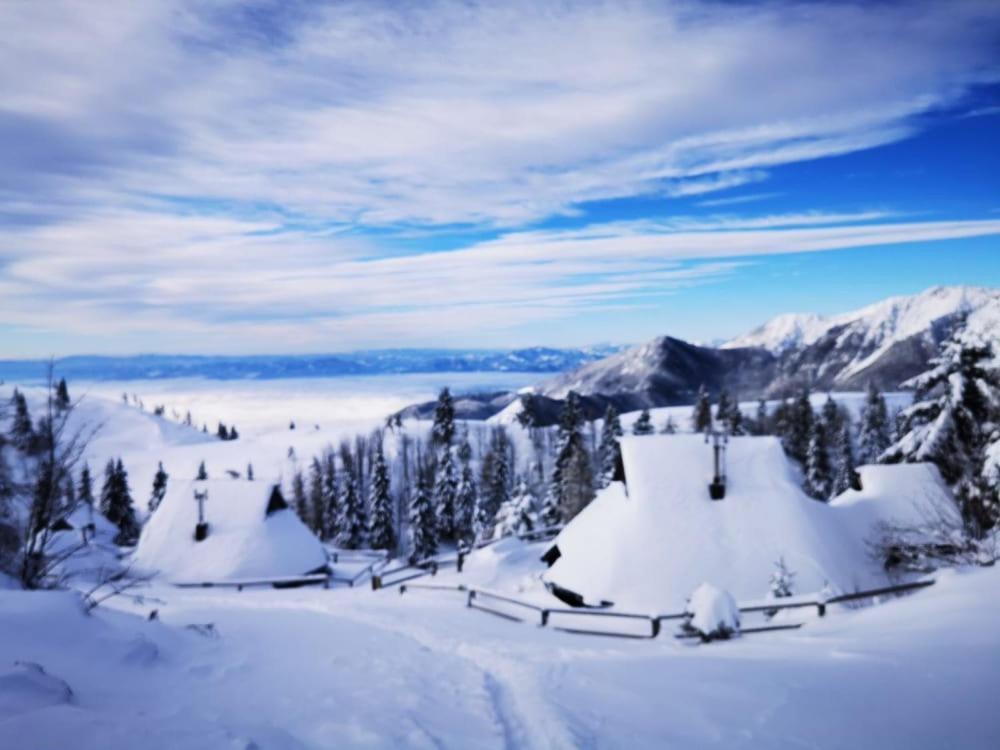 Chalet Zlatica Velika Planina Стаховиця Екстер'єр фото