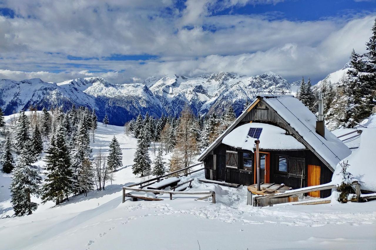 Chalet Zlatica Velika Planina Стаховиця Екстер'єр фото