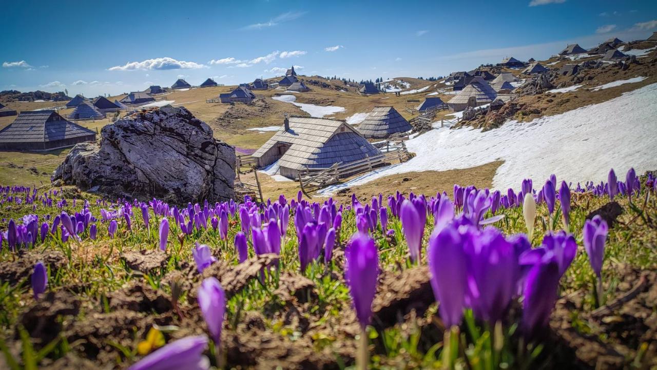 Chalet Zlatica Velika Planina Стаховиця Екстер'єр фото