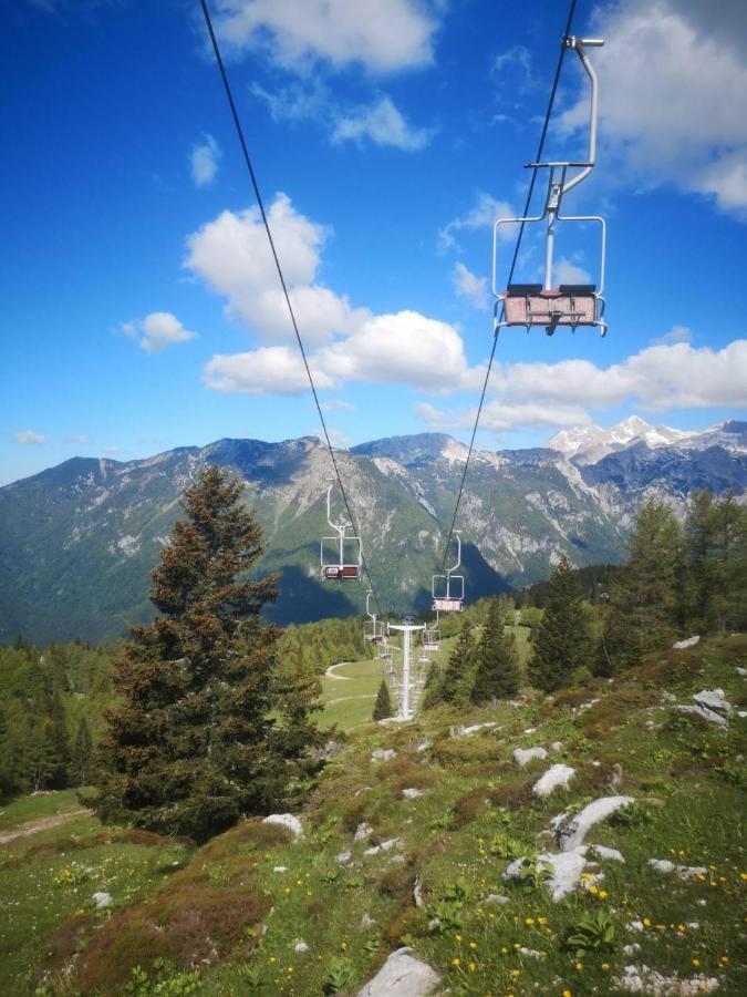 Chalet Zlatica Velika Planina Стаховиця Екстер'єр фото
