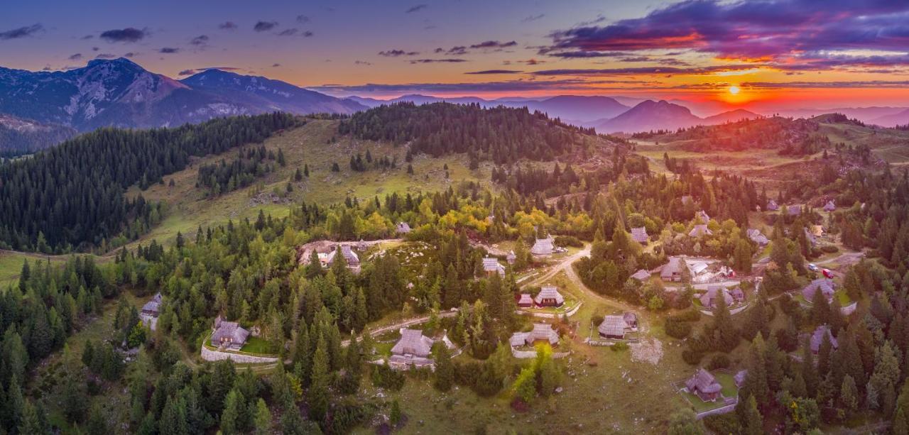 Chalet Zlatica Velika Planina Стаховиця Екстер'єр фото