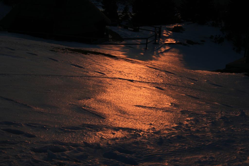 Chalet Zlatica Velika Planina Стаховиця Екстер'єр фото