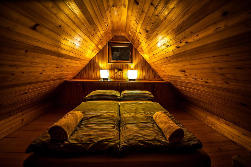 Chalet Zlatica Velika Planina Стаховиця Екстер'єр фото