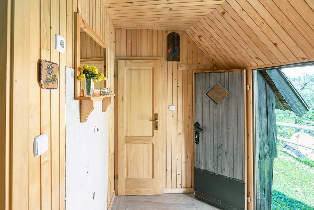 Chalet Zlatica Velika Planina Стаховиця Екстер'єр фото