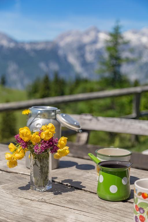 Chalet Zlatica Velika Planina Стаховиця Екстер'єр фото